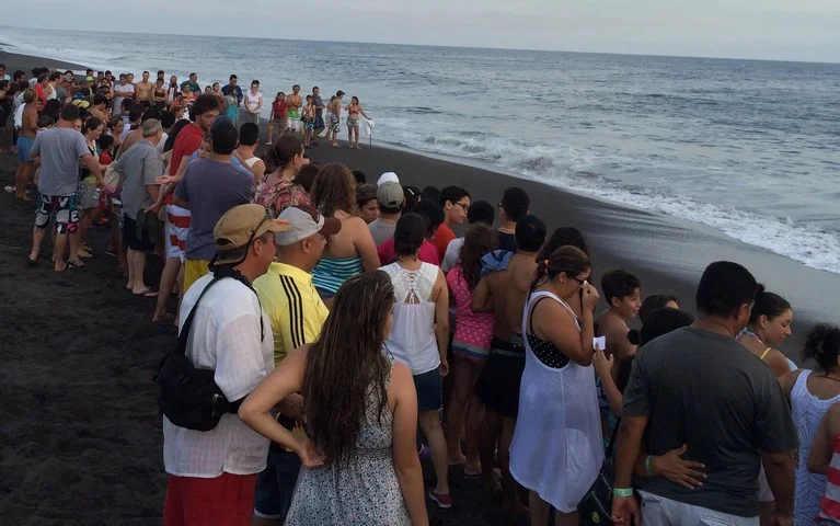 Crowds begin to gather in anticipation of the release. Everyone is standing behind the roped off area