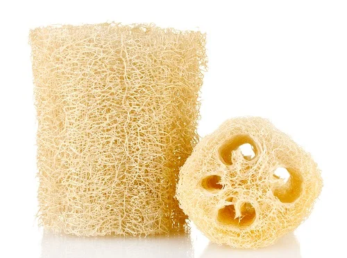 Typical loofah