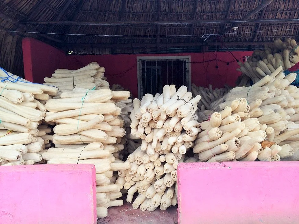 They are clearly in the luffa business. 