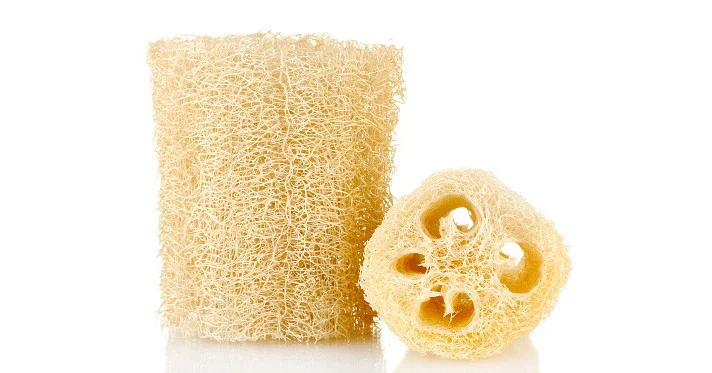 Buying a Luffa in Someone's Driveway