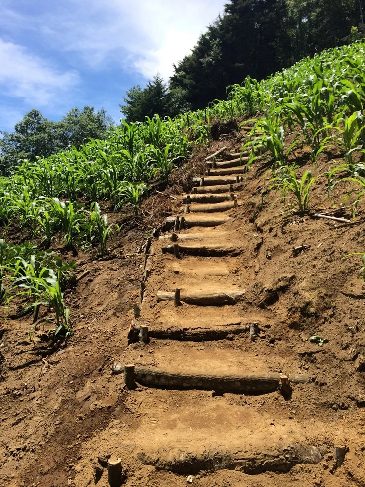 The trail is well maintained with several sections of stairs.