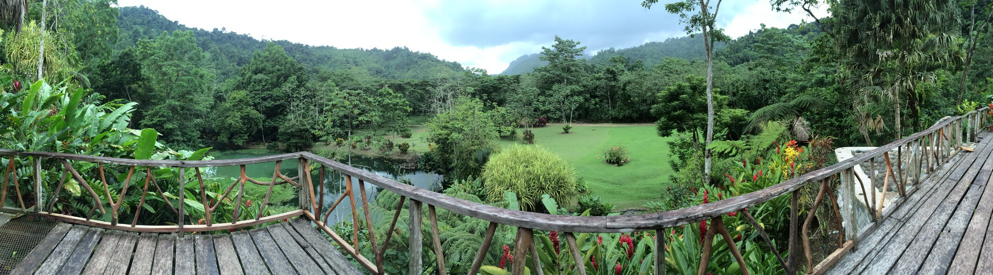 Green, green everywhere. Sometimes a barrel of monkeys will swing through the lodge during one of their afternoon food excursions. Apparently, the monkeys are pretty loud when they do this. 