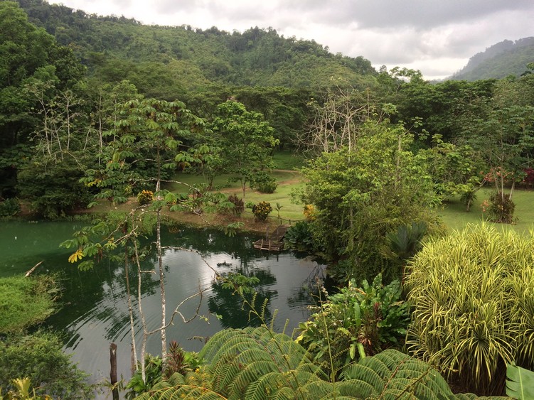 A crocodile lives in their lake. 