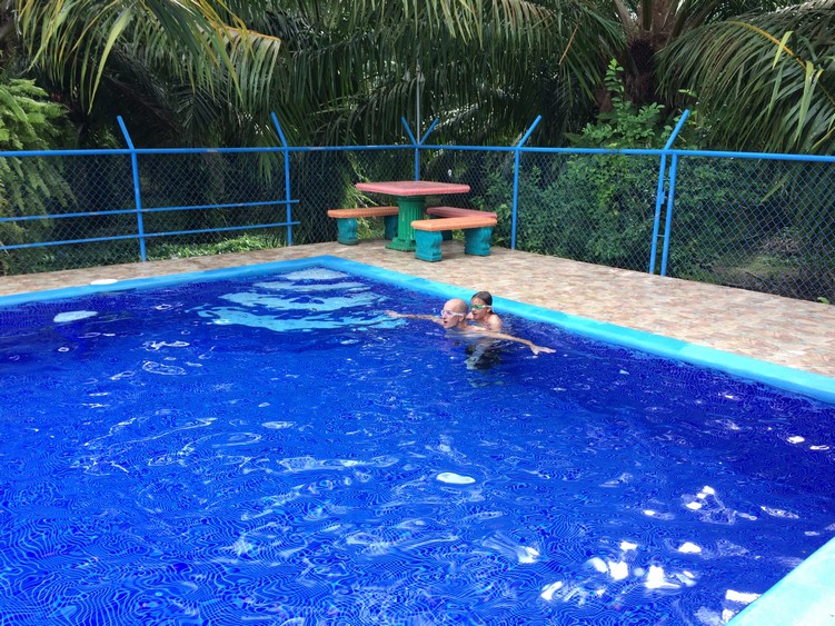 The pool is surrounded by palm trees from a palm oil plantantion. 