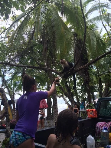 Ela is feeding one of the sweeter monkeys. We were wary of the biggest, most aggressive monkey and started calling him Loco Mono (crazy monkey). He gave us a few snarls, and he wanted all of the food for himself. 