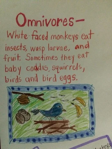 They also like chips and coconuts, but Ela and Tag didn't include this on the poster. 