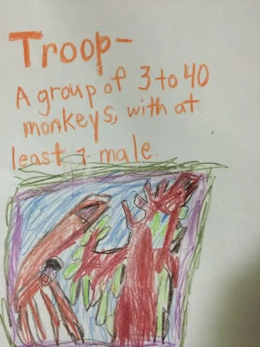  Tag decided he needed to camouflage several of the monkeys in this troop above!