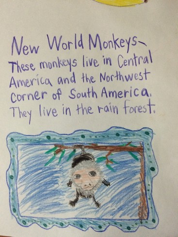 I think Ela had as much fun drawing "frames" around her pictures, as she did drawing the pictures.