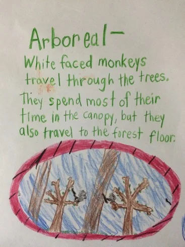 Arboreal, usually referencing animals, mean living in trees.