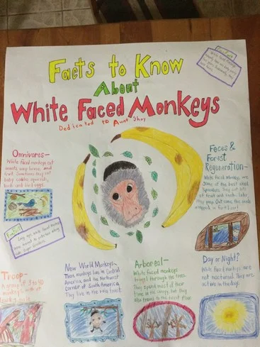 Our first homeschool poster. Don't strain your eyes. All the facts are below. 