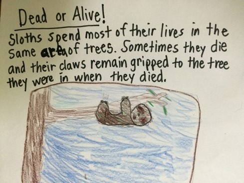 It's possible that the sloth in the tree is not alive.