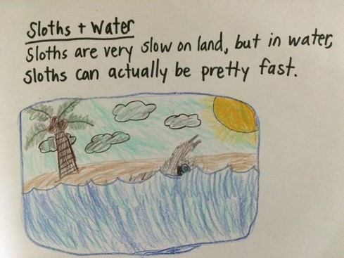 We never saw one in the water. That would have been neat. 