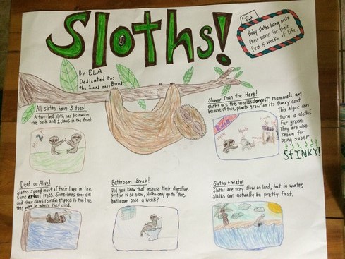 While Ela did all the research and planned out the spacing on the poster, I helped nicely write the facts on the poster. If you look closely, I made a couple of mistakes, but we didn't have any white-out. 