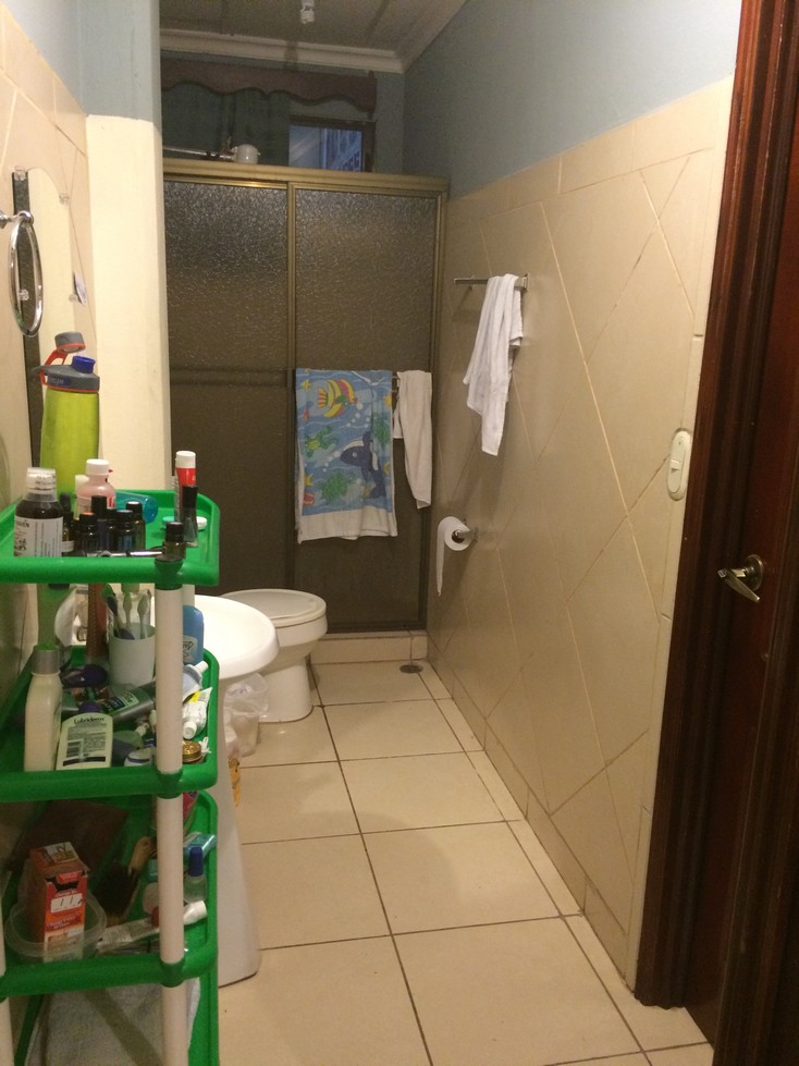 The bathroom - While it's clean, it's not beautiful. We had to buy the green and white shelf so that we'd have a place to put our toothbrushes.The shower is the only place in the house with warm water. You can see the top of the electrical shower head. These, too, are quite common in Central America. 