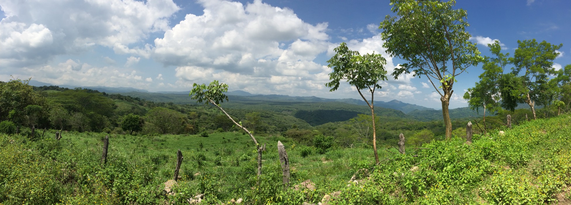 We stopped several times on our drive into the mountains to enjoy the breathtaking views. 
