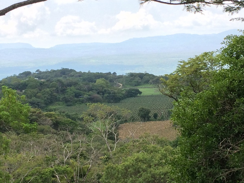 Ken, Ela and Juan's view after their climb. 
