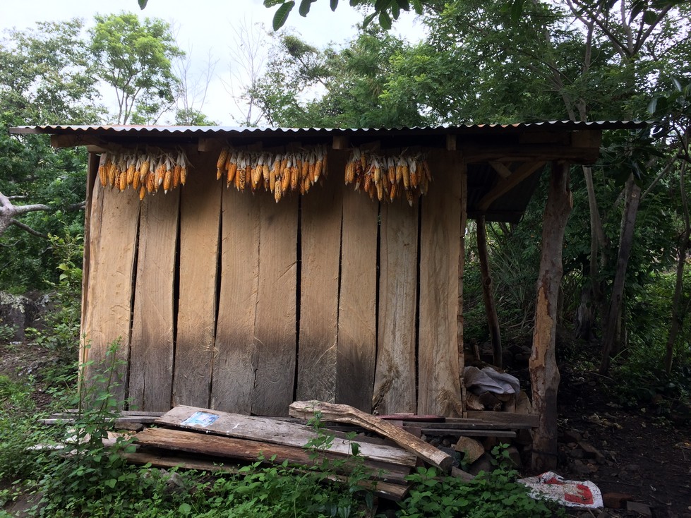 This is one of several outbuildings, but this is the biggest and nicest one. I believe Orlando keeps many of his farm tools here. We have no idea what they are going to do with the corn. 