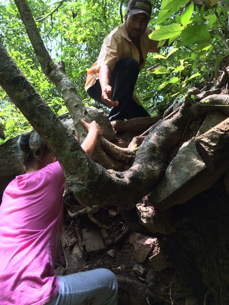 Ela is climbing up and through the tree roots that are in the middle of the trail. We had a blast on this hike!