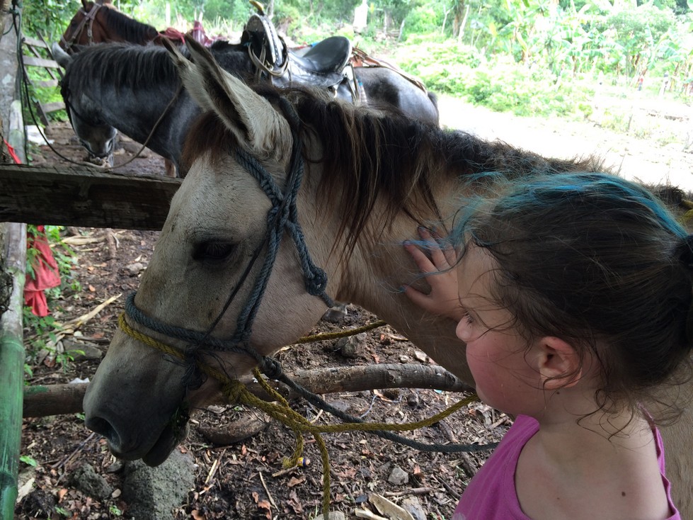 Ela loved her horse. I asked Orlando if the horses had names, but I couldn't understand his answer. Therefore, we came up with our own names. Ela named hers Buttercup, and Tag named his Shine. When I asked Orlando if his son Juan rode horses, he kinda laughed. As it turned out, it was a silly question. I was riding Juan's horse. Juan has ridden for years and is responsible for all of his horse's caretaking needs. 