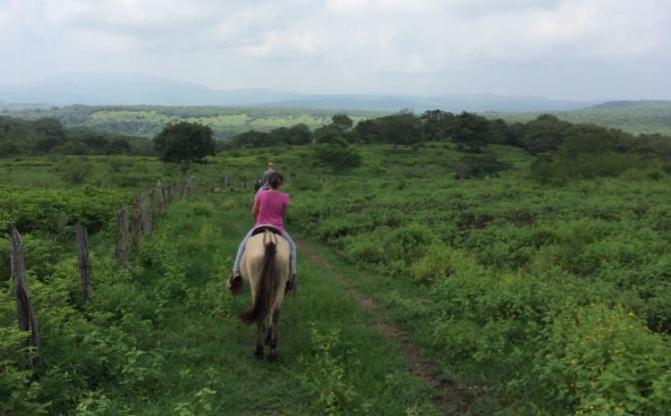 We rode for 1.5 hours to a waterfall, went on a small hike and returned by horse. We never would have found these trails and known about the waterfall if we hadn't hired Orlando as our guide. We did plenty of trotting and even the occasional galloping which made it that much more fun. 