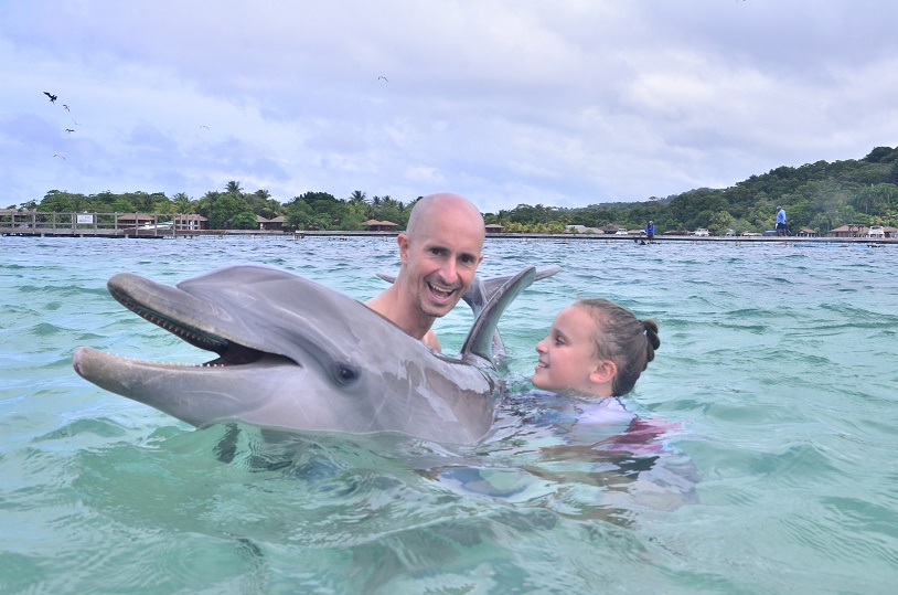 Dolphin hug