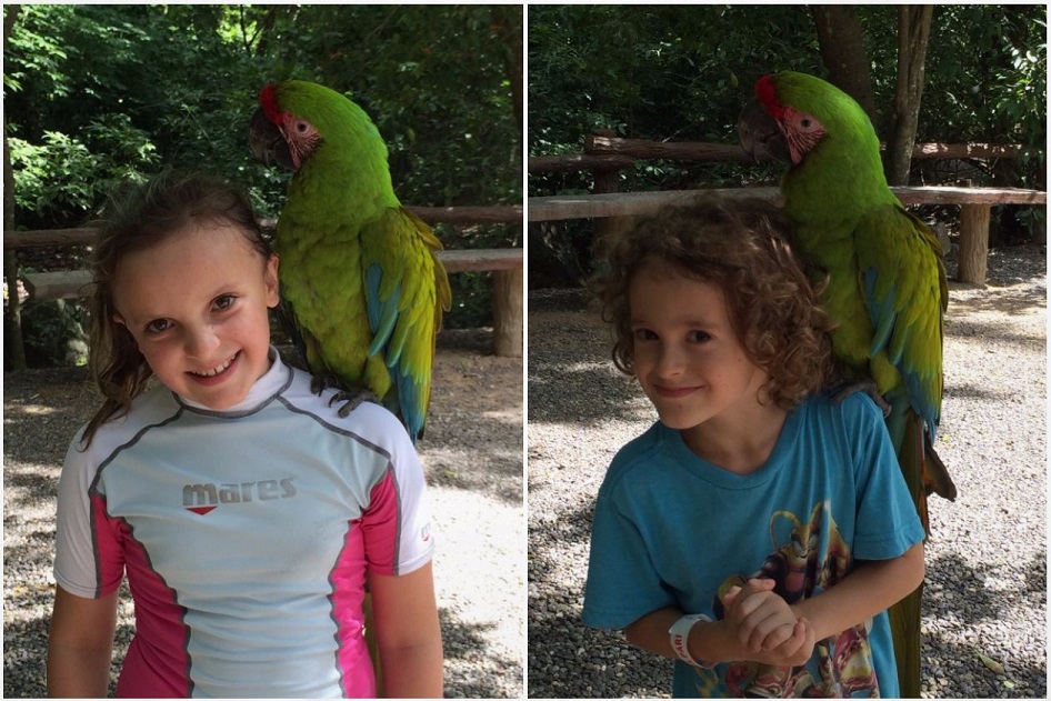 Kids and macaws!