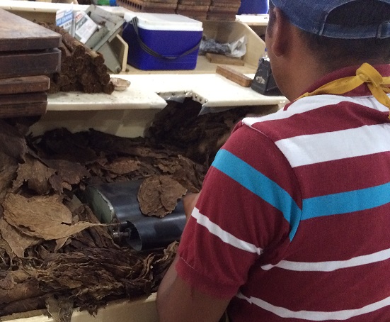 The men develop an instinct for just the right amount of tobacco filler needed. If they use too much or too little, the cigar won't pass inspection, and then the pair won't get paid for those cigars. Rejected cigars are used as fillers in cheaper cigars. 