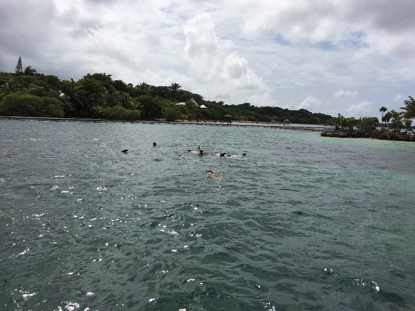 Ken and Ela snorkeling with dolphins at Anthony's Key. The dolphins have a big habitat. Some dolphins escape and usually return (on their own) within a couple of days. Occasionally, dolphins will escape follow boats to other parts of the island where they happily perform some of their tricks in the wild.