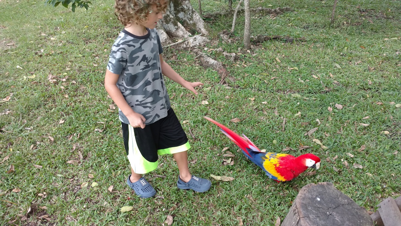 Tag getting a closer look. Thankfully the birds are used to having people around.