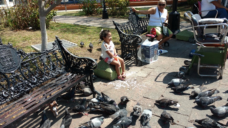 This little girl was happily feeding rice to the pigeons. There were at least 200 in her surrounding vicinity. That is until Tag and two other boys tried to run them off (and did...several times). 