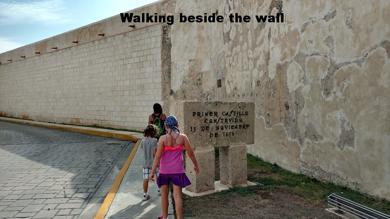 wall walk.jpg