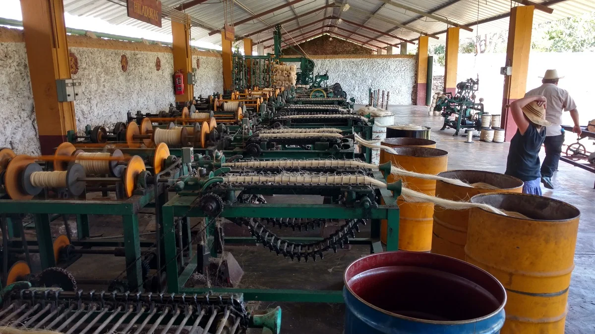 Ela examining the machines used for mass producing ropes.