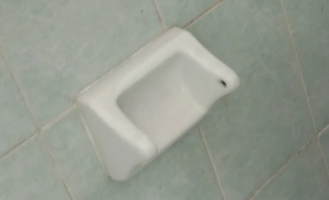 A common site...no toilet paper