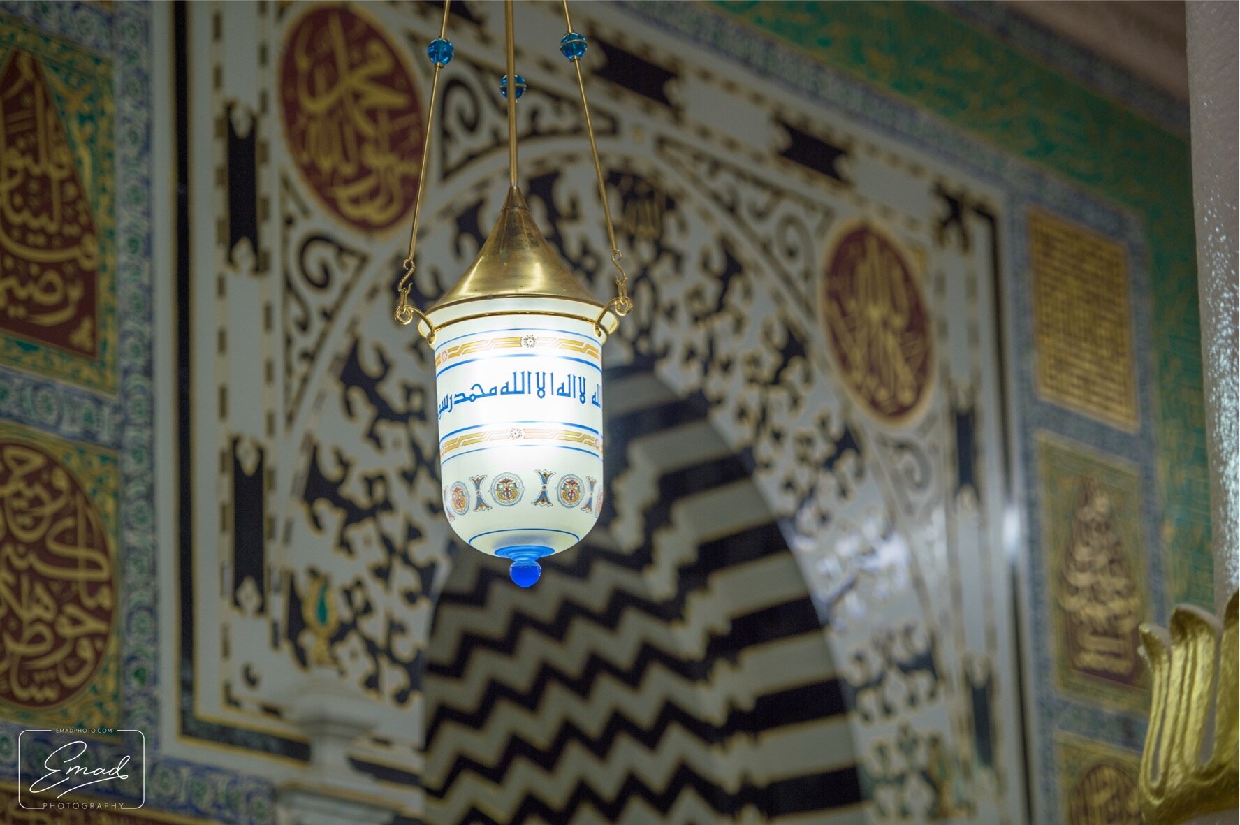 DSC_2488.jpeg
