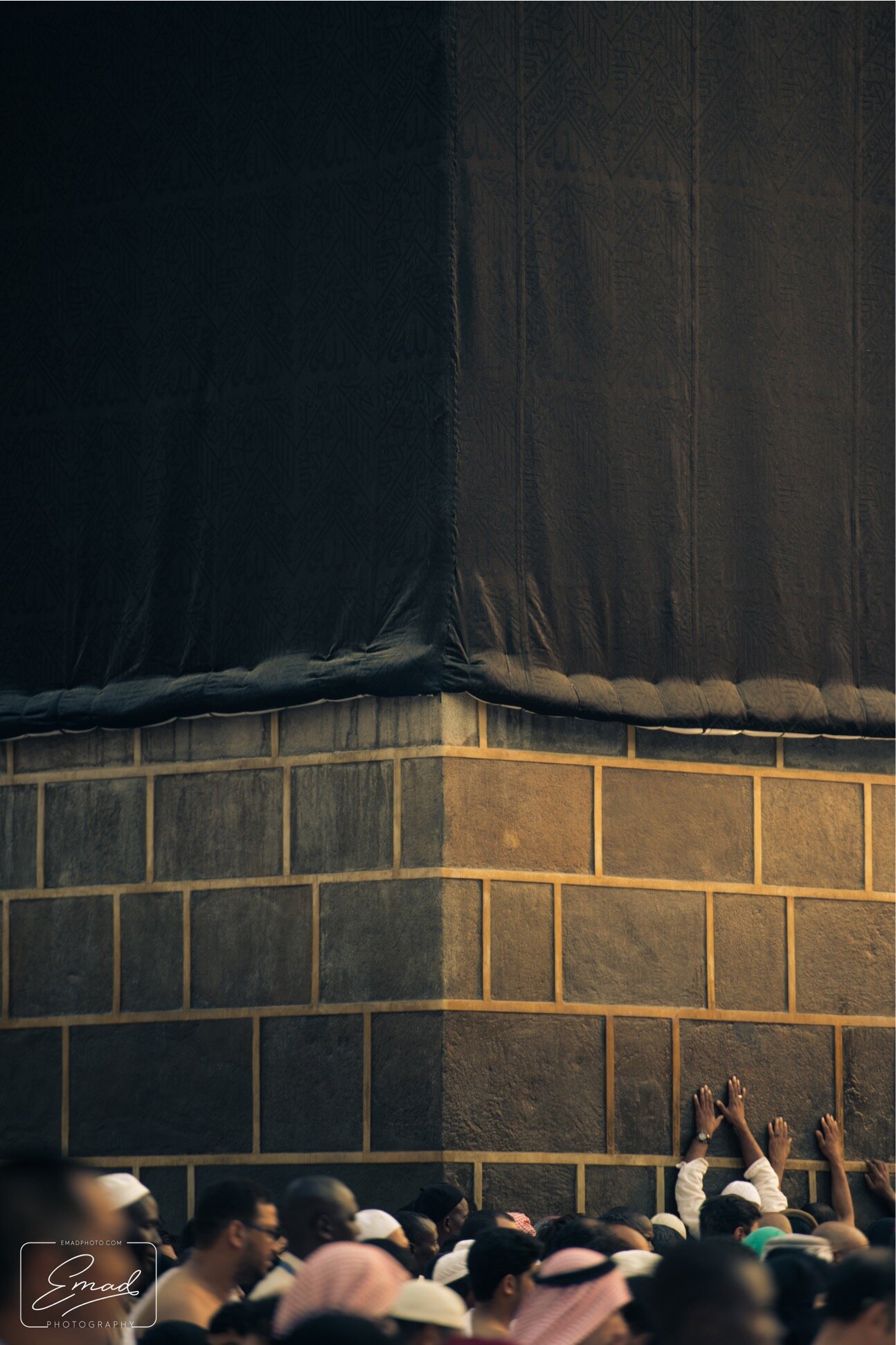 DSC_2509.jpeg