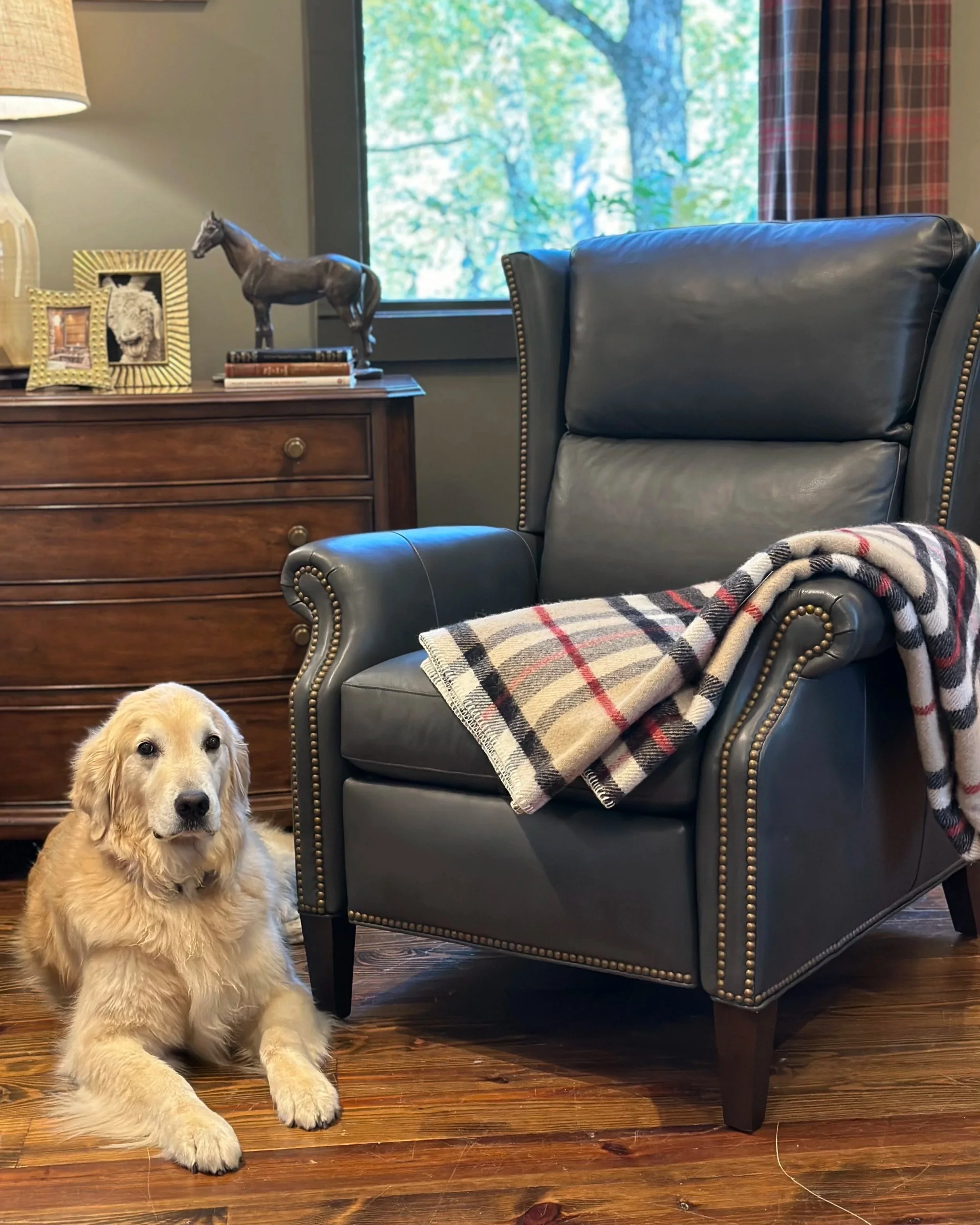 golden retriever highlands nc cashiers nc highlands nc furniture