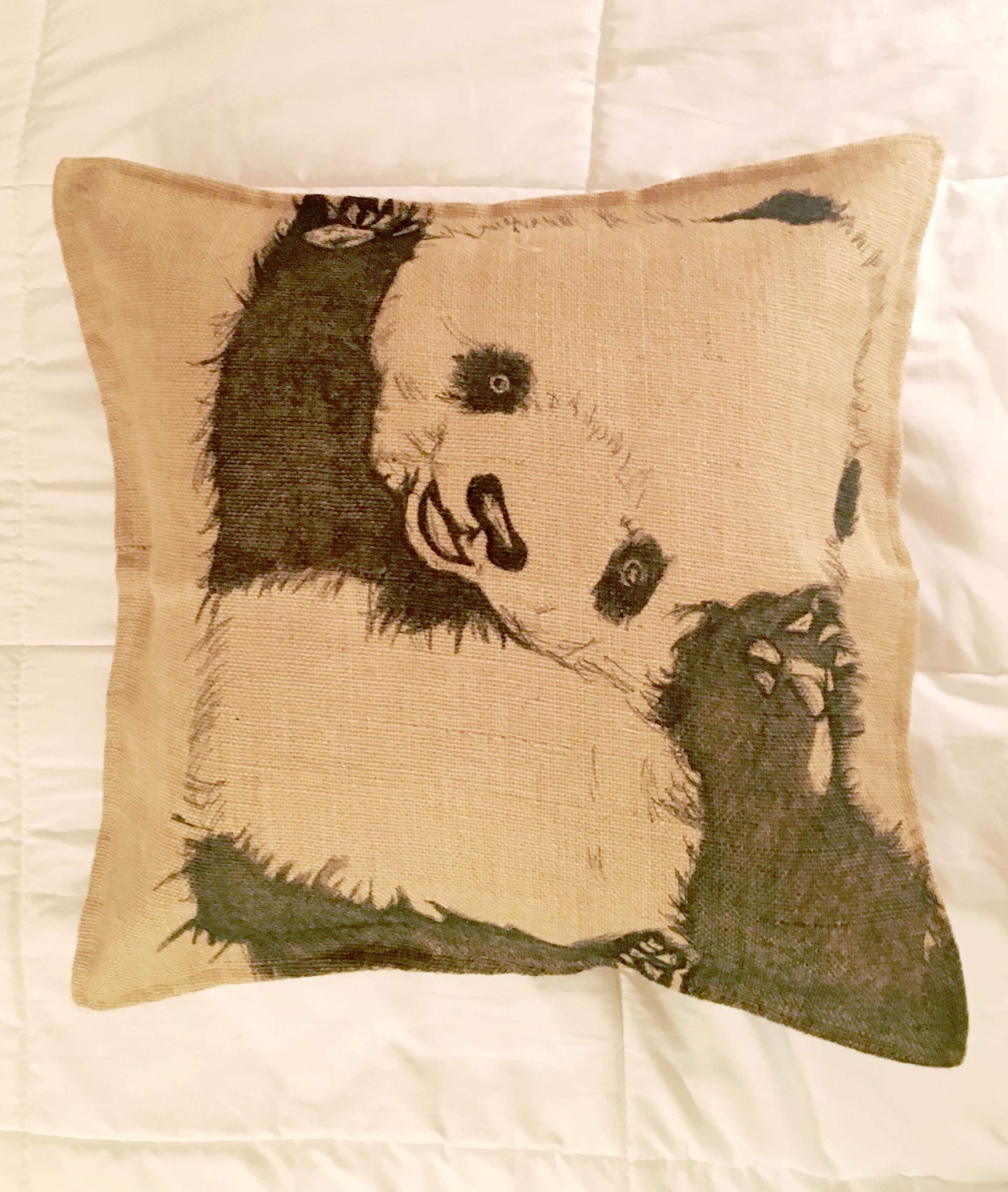 A cuddly qustom pillow I drew.