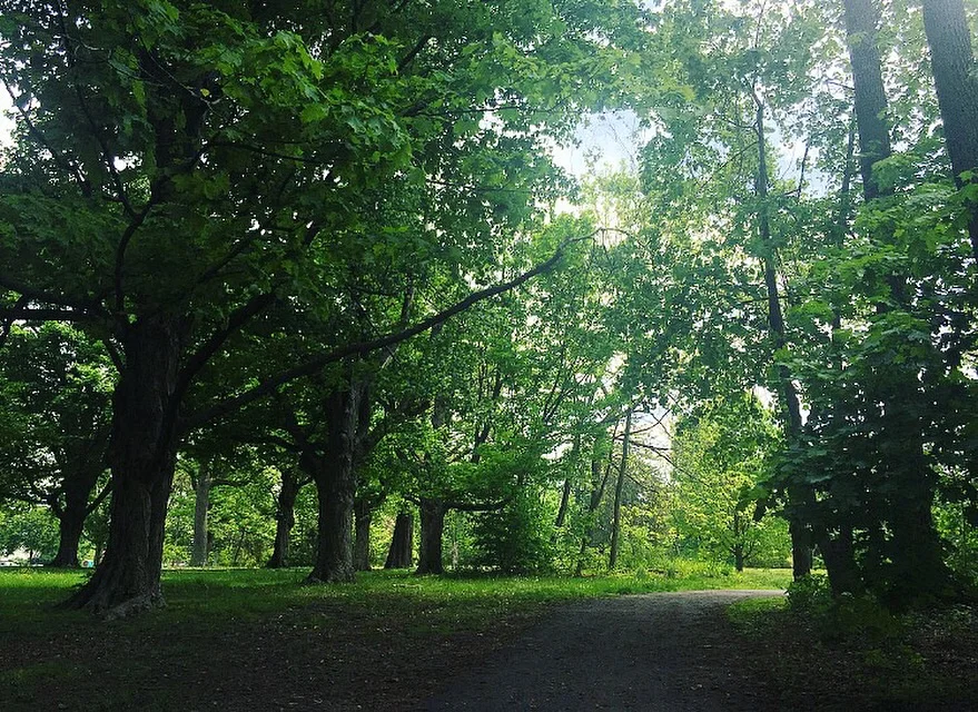my view after a run.