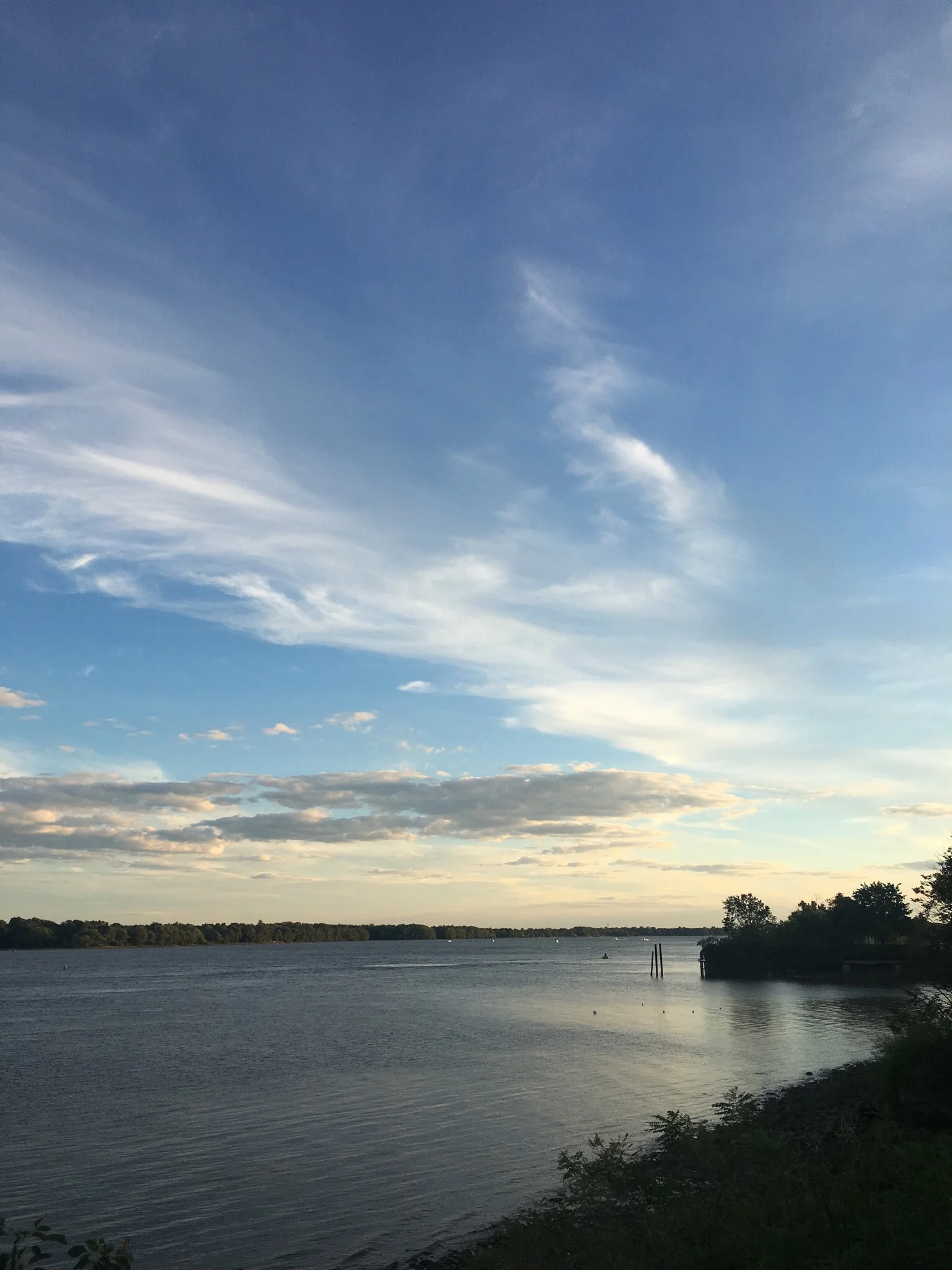 dinner with a view.