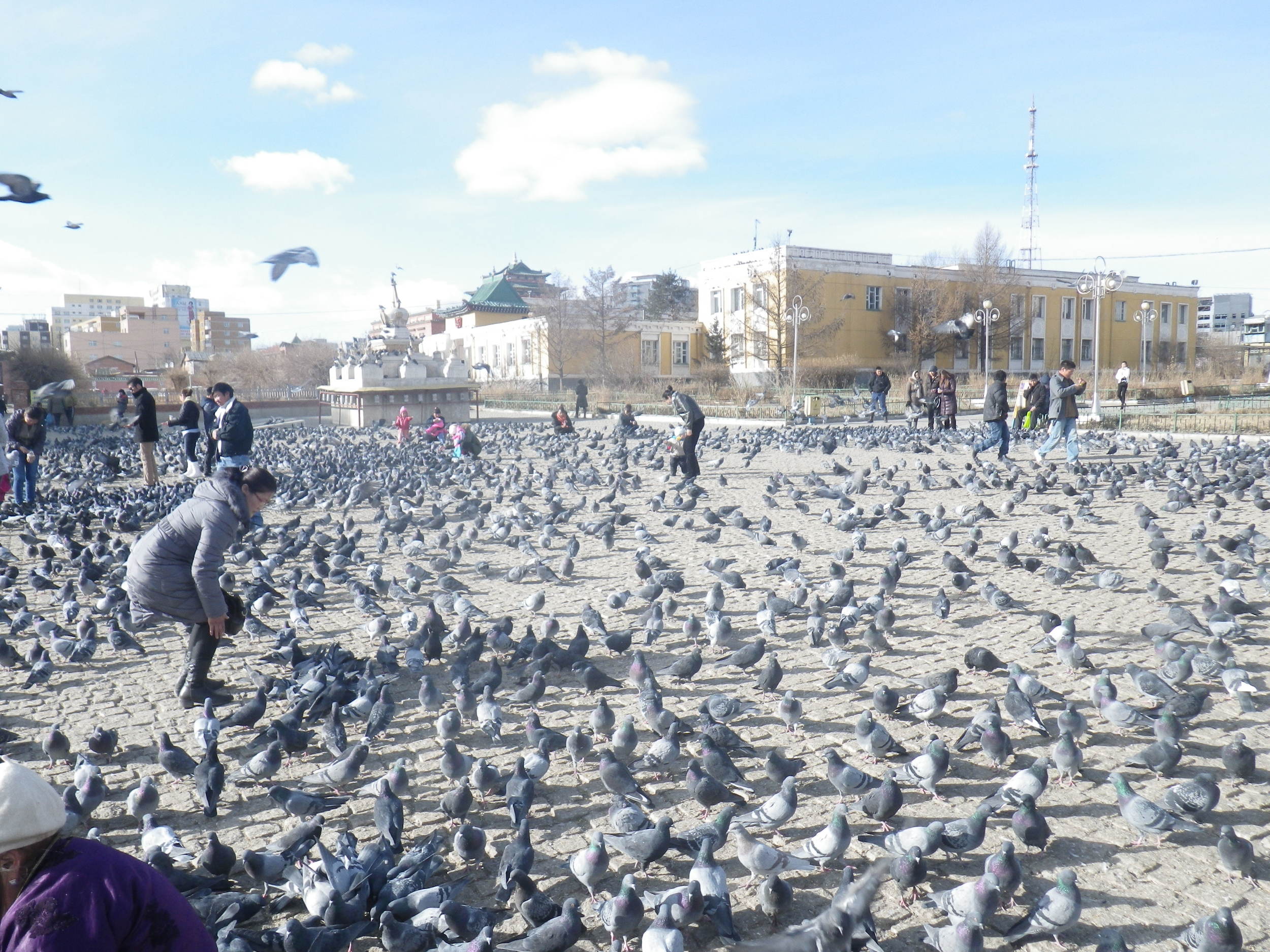 Budget travel in Mongolia. Backpacking Mongolia. 