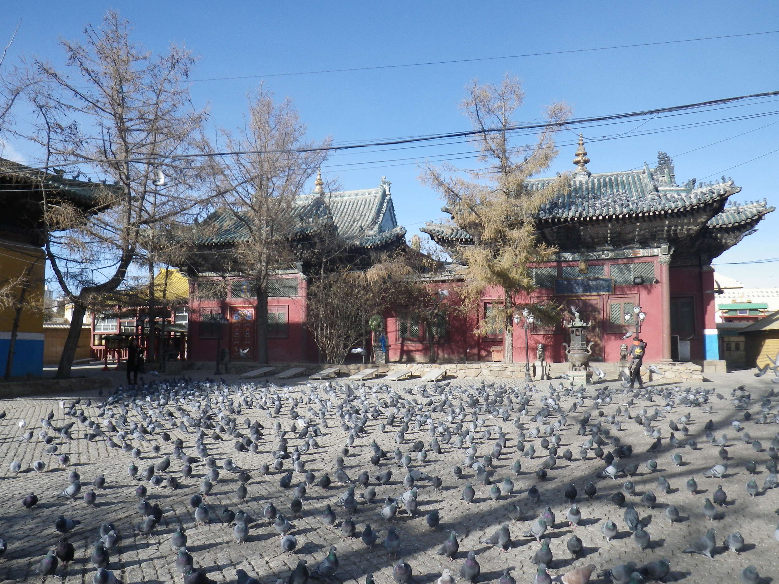 Budget travel in Mongolia. Backpacking Mongolia. 