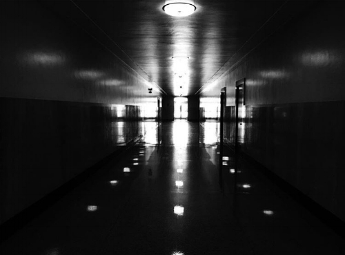 Kathryn Trattner Photography