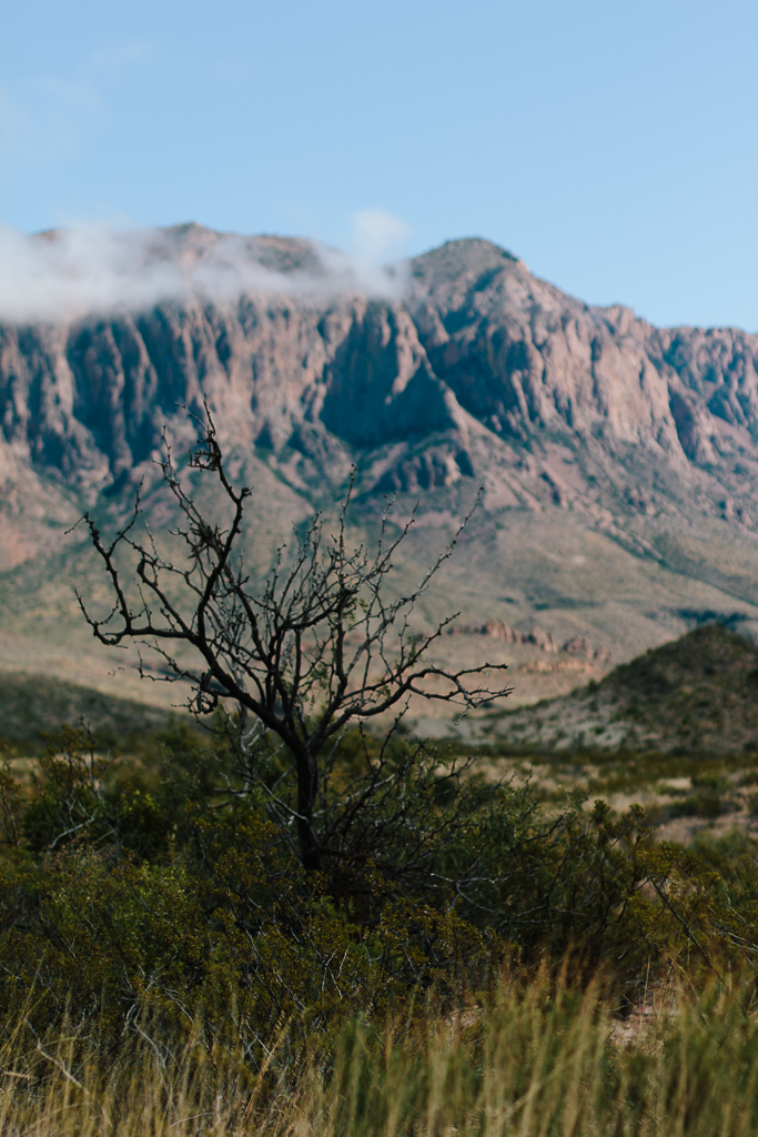 Big Bend National Park