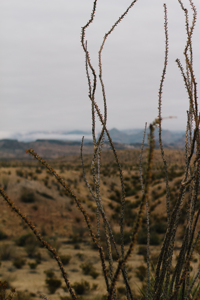 Big Bend National Park