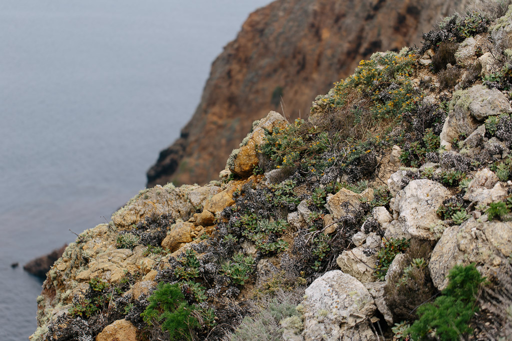 Channel Islands National Park - California 