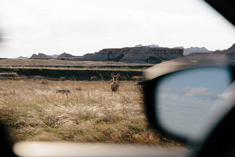 Badlands National Park - South Dakota