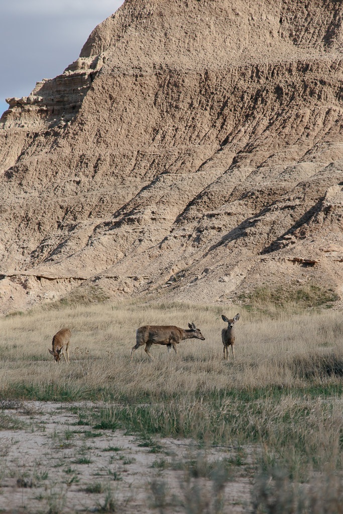 Badlands National Park - South Dakota