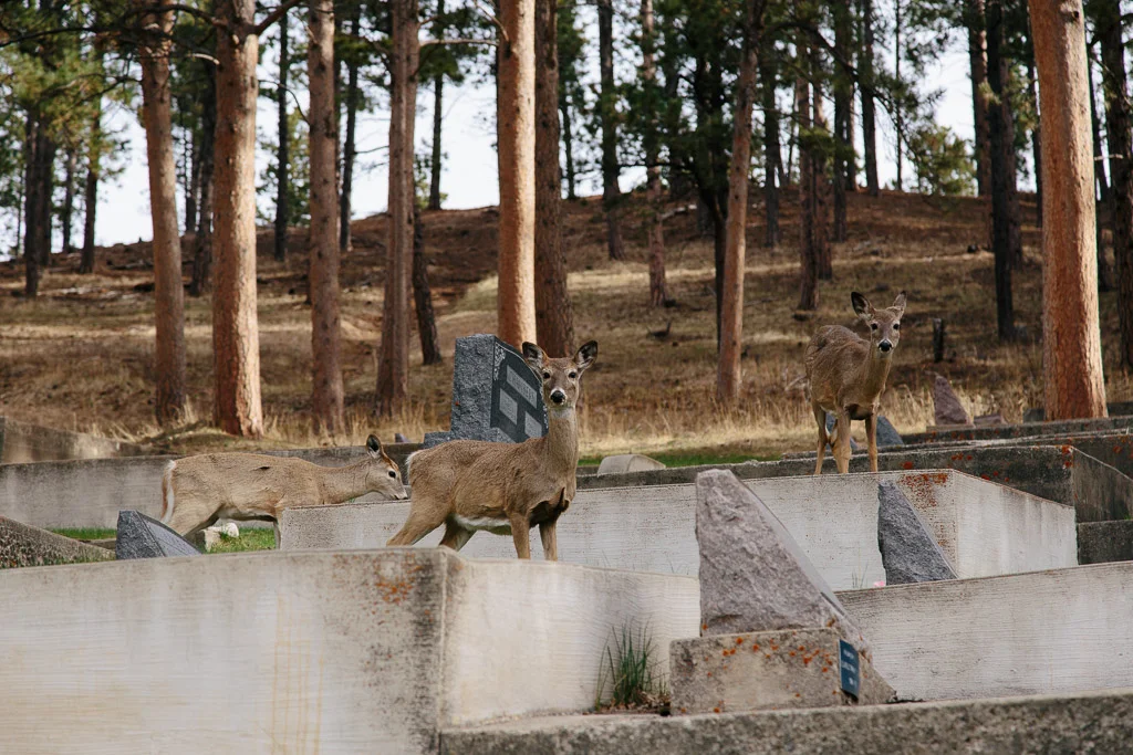 _MG_3326.jpg