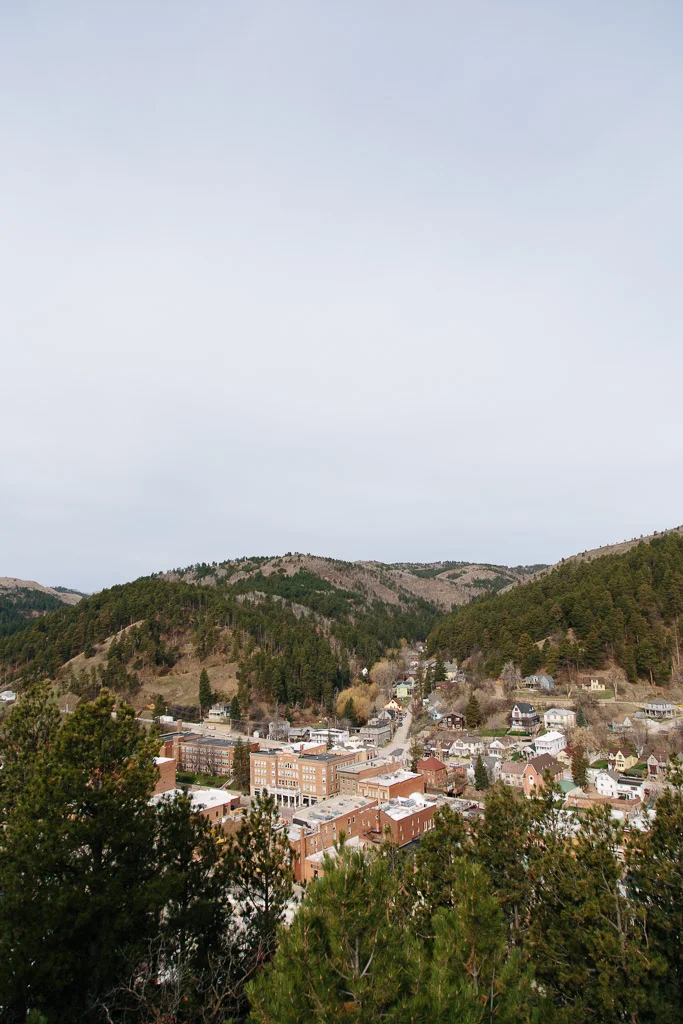 _MG_3365.jpg