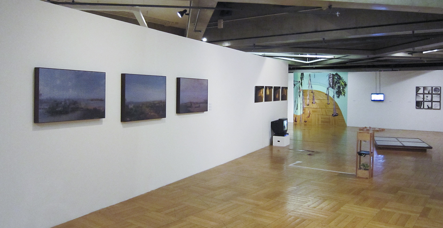 Ateliê Fidalga at Paço das Artes group show in São Paulo, July 2010. Organized by Albano Afonso and Sandra Cinto.